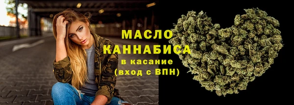 тгк Абаза