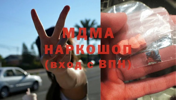 шишки Заволжье