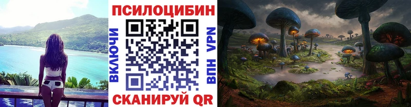 наркошоп  Новопавловск  МЕГА ссылки  Псилоцибиновые грибы GOLDEN TEACHER 